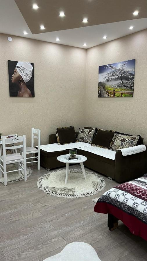Apartment Downtown Подгориця Екстер'єр фото