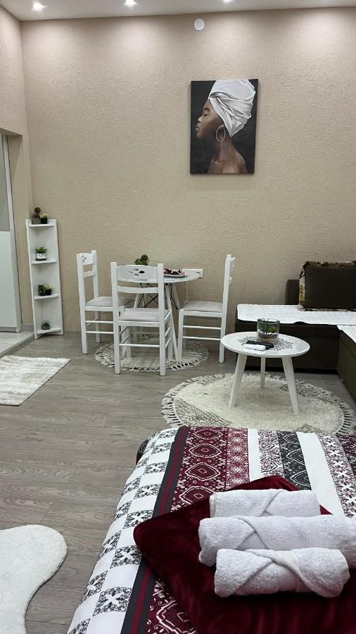 Apartment Downtown Подгориця Екстер'єр фото