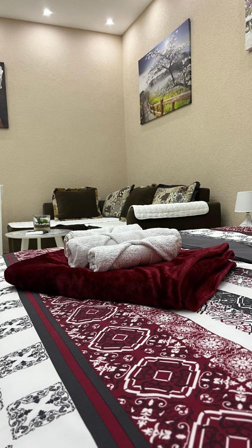 Apartment Downtown Подгориця Екстер'єр фото